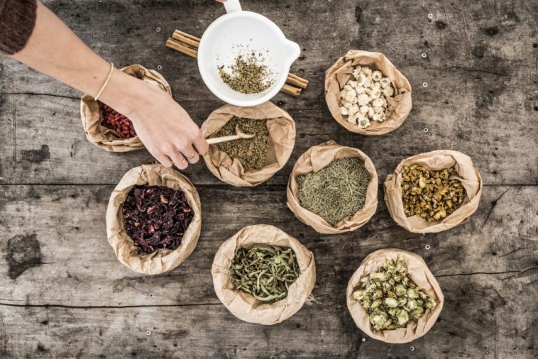 5 Melhores tipos de chás de flores e seus benefícios | Chá Benefícios