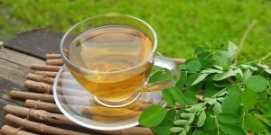 benefícios do chá de moringa